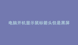电脑开机显示鼠标箭头但是黑屏随后就重新启动