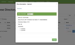 Hadoop HDFS web