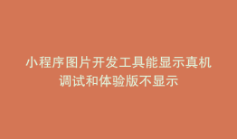 小程序图片开发工具能显示真机调试和体验版不显示