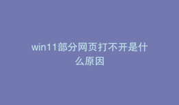 win11部分网页打不开是什么原因