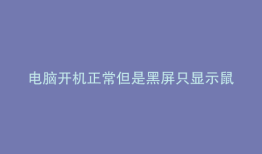 电脑开机正常但是黑屏只显示鼠标