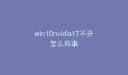 win10nvidia打不开怎么回事