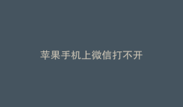 苹果手机上微信打不开