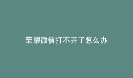 荣耀微信打不开了怎么办