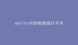 win11n卡控制面板打不开