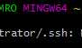 Git安装和基本设置（Windows）