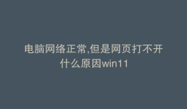 电脑网络正常,但是网页打不开什么原因win11
