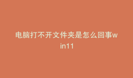 电脑打不开文件夹是怎么回事win11