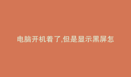 电脑开机着了,但是显示黑屏怎么办