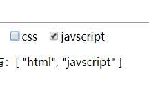 Vue.js 表单