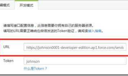 Force.com - 微信接口后台开发与配置