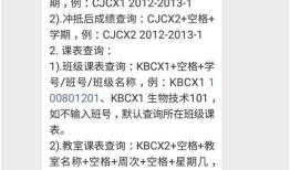 [SakuraiYo][软工作业(3)]用户体验分析：以“南通大学教务管理系统微信公众号”为例