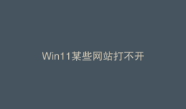 Win11某些网站打不开