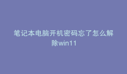 笔记本电脑开机密码忘了怎么解除win11