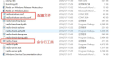 .Net集成Redis
