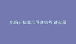 电脑开机显示屏没信号,键盘鼠标也不亮