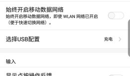 电脑连接并调试手机浏览器的网页