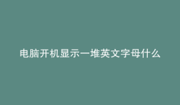 电脑开机显示一堆英文字母什么原因
