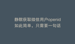 静默获取微信用户openid如此简单，只需要一句话