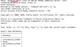 【Application】Docker 安装 MySQL（六）