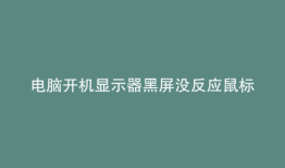电脑开机显示器黑屏没反应鼠标键盘都有电