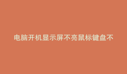 电脑开机显示屏不亮鼠标键盘不亮