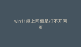 win11能上网但是打不开网页