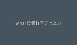 win11设置打不开怎么办