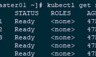 017.Kubernetes二进制部署检查集群