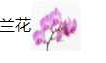 CSS---常用属性总结