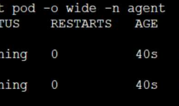 ASP.NET Core on K8S深入学习（3-2）DaemonSet与Job