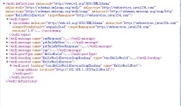 webservice执行过程深入理解
