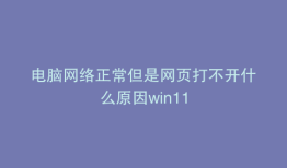电脑网络正常但是网页打不开什么原因win11