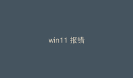 win11 报错