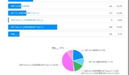 2020 年 中国.NET开发者调查报告