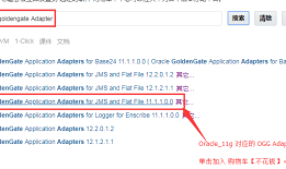 『OGG 02』Win7 配置 Oracle GoldenGate Adapter Java 踩坑指南