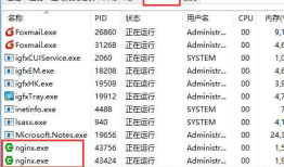 Nginx Windows详细教程