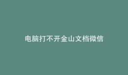 电脑打不开金山文档微信