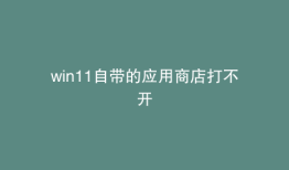 win11自带的应用商店打不开