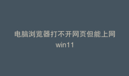电脑浏览器打不开网页但能上网win11