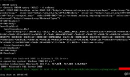 soap注入某sql2008服务器结合msf进行提权