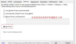 Fiddler 手机抓包设置