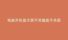 电脑开机显示屏不亮键盘不亮鼠标亮