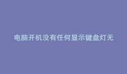电脑开机没有任何显示键盘灯无反应