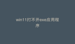 win11打不开exe应用程序