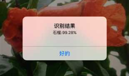 基于图片识别服务的IOS图片识别程序