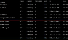 ASP.NET Core on K8S深入学习（3-2）DaemonSet与Job