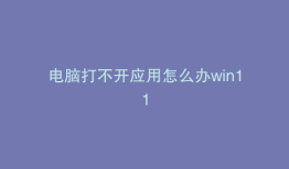 电脑打不开应用怎么办win11