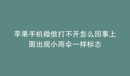 苹果手机微信打不开怎么回事上面出现小雨伞一样标志