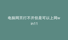 电脑网页打不开但是可以上网win11